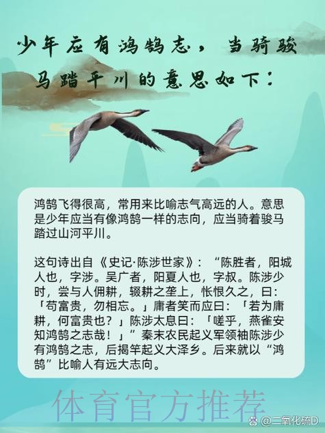 精英群雄逐鹭 厦马一触即发 精英群雄逐鹭 厦马一触即发